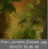 Flori_Giraffe_Elefant.jpg