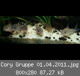 Cory Gruppe 01.04.2011.jpg