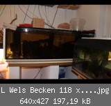 L Wels Becken 118 x 51 x 38.jpg