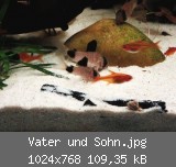 Vater und Sohn.jpg