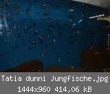 Tatia dunni Jungfische.jpg