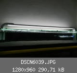 DSCN6039.JPG