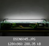 DSCN6045.JPG