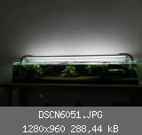 DSCN6051.JPG