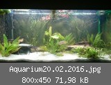 Aquarium20.02.2016.jpg