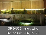 IMAG0653 bearb.jpg