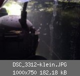 DSC_3312-klein.JPG